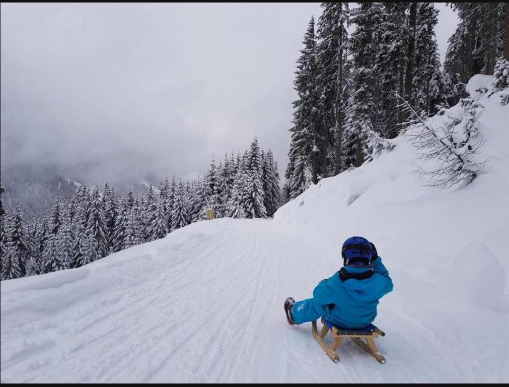 Lieblingsplatz - Ski In Und Ski Out 시 외부 사진